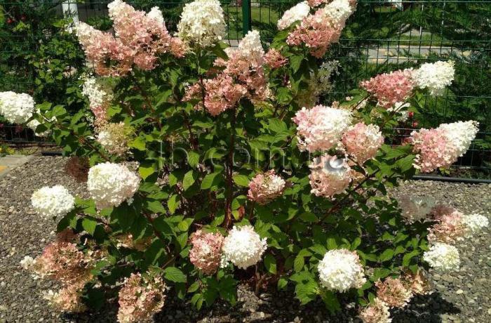 Агентство недвижимости 4B