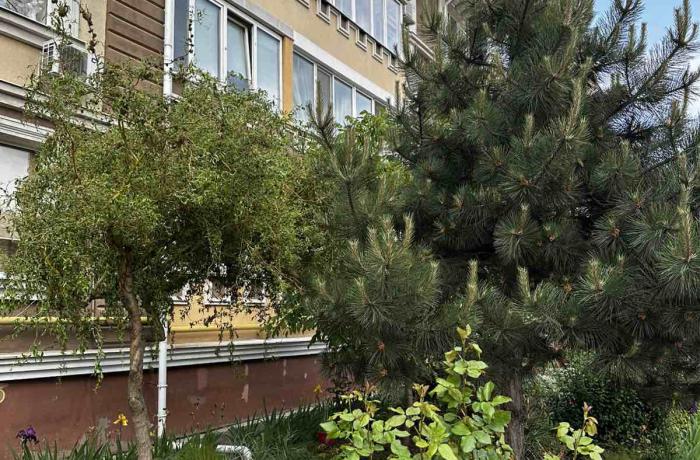 Академ городок