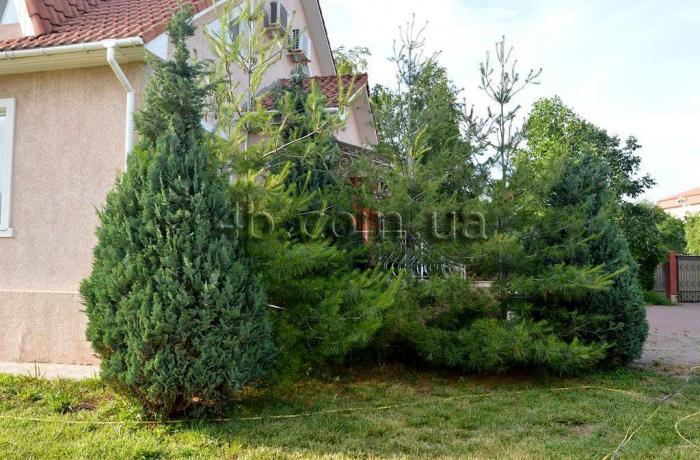 Агентство недвижимости 4B