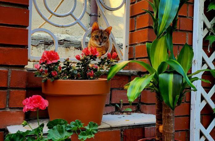 Агентство недвижимости 4B