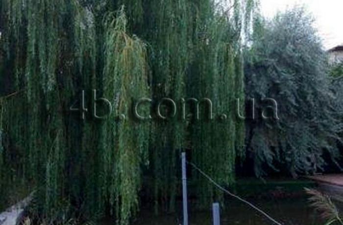 Агентство недвижимости 4B
