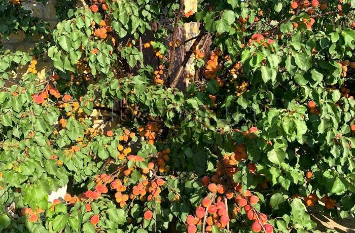 Агентство недвижимости 4B