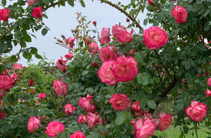 Агентство недвижимости 4B