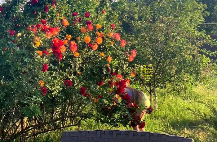 Агентство недвижимости 4B