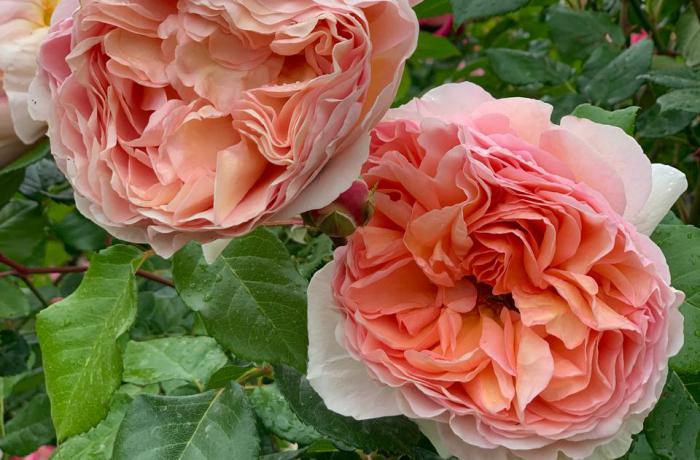 Агентство недвижимости 4B