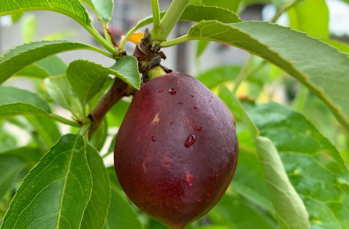 Агентство недвижимости 4B