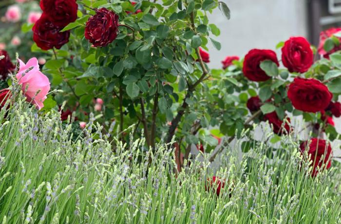 Агентство недвижимости 4B