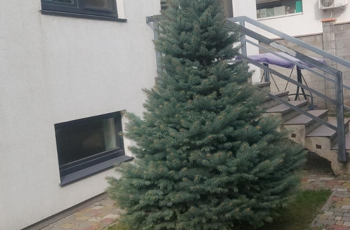 Агентство недвижимости 4B