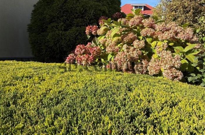 Агентство недвижимости 4B