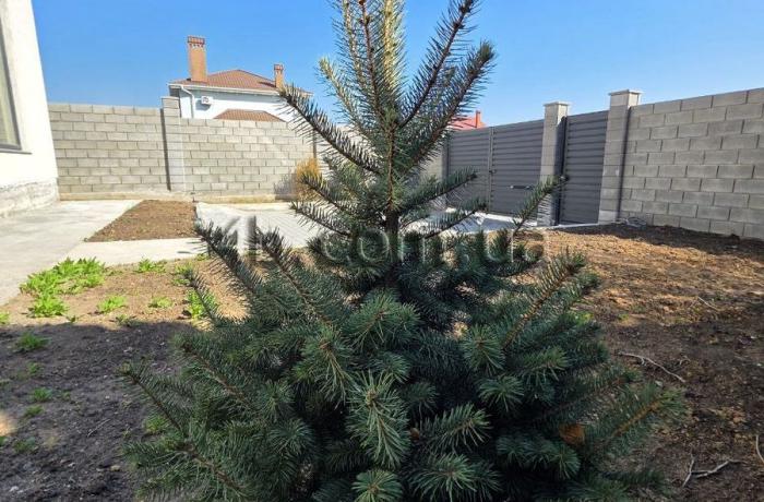 Агентство недвижимости 4B